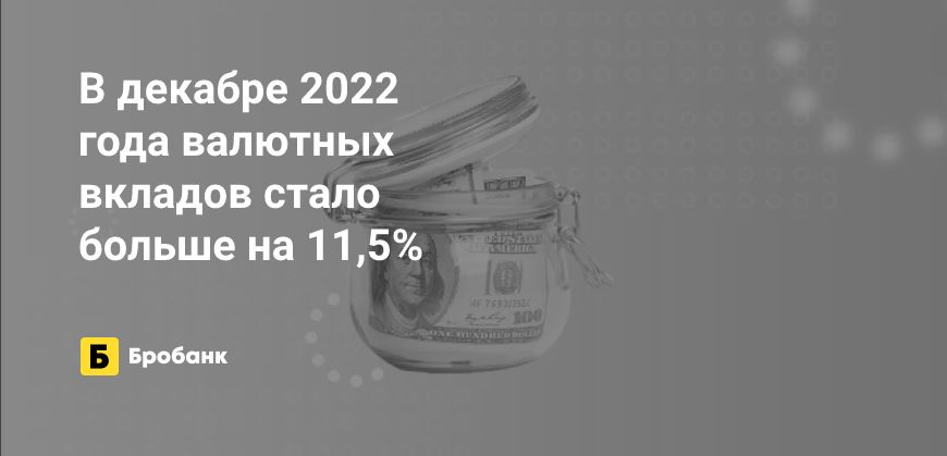 Ассортимент валютных вкладов к 2023 году расширяется | Микрозаймс.ру