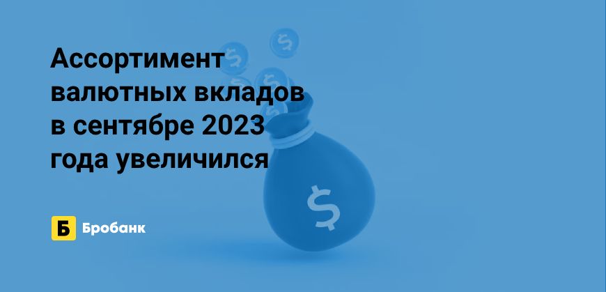 Валютных вкладов в сентябре 2023 года стало больше | Микрозаймс.ру