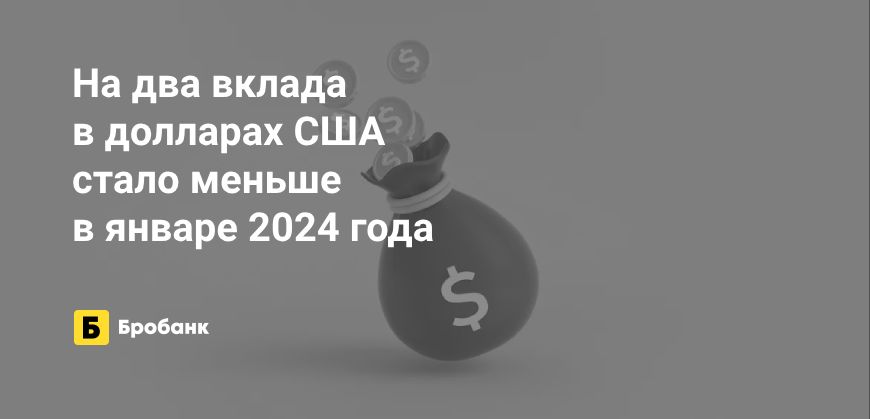 Ассортимент вкладов в долларах в начале 2024 года сократился | Микрозаймс.ру