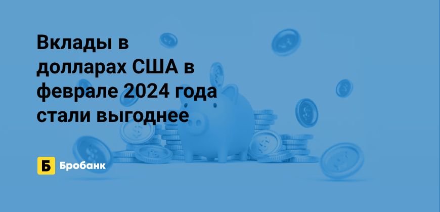 Доходность вкладов в долларах в феврале 2024 года выросла | Микрозаймс.ру